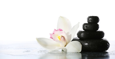 Still life of spa stones on wet glossy surface isolated on