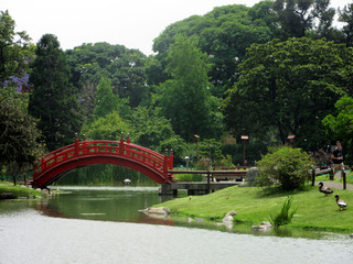 Fototapeta na wymiar Ponte no Jardim Japonês