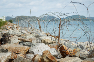 Barbed wire border