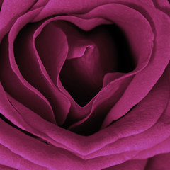 Rose in Form eines Herzens