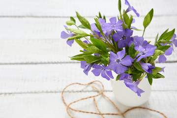 Spring bouquet of periwinkle in the jar on boards