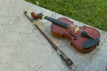 violino