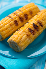 Close-up of grilled sweet corn on a blue plate, selective focus