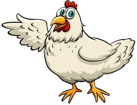 A chicken