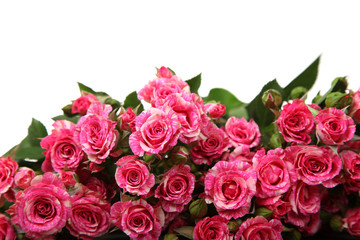 Bouquet of pink roses
