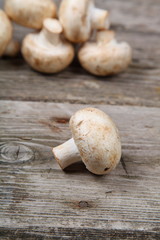 Mushrooms