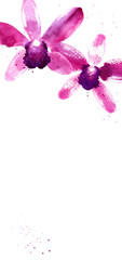 Fototapeta na wymiar Vector background with purple watercolor orchids