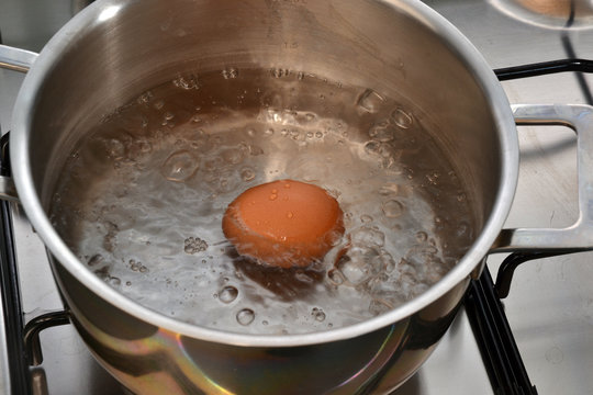 Hirviendo un huevo en una olla de agua caliente.