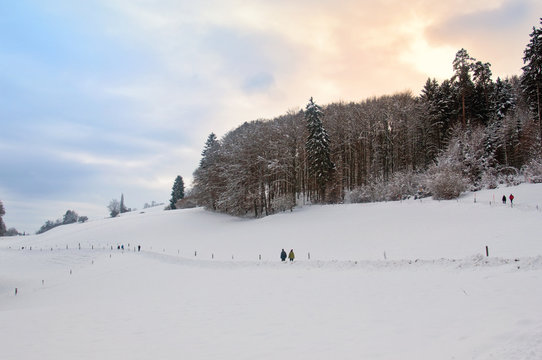 Fototapeta Beautiful winter landscape with snow covered