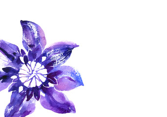 Vector background with watercolor clematis