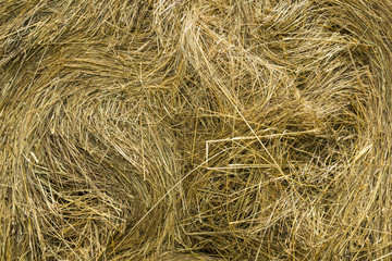 Hay bales texture