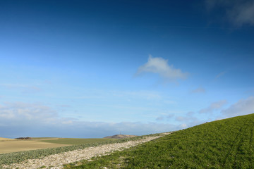 Obraz premium paysage