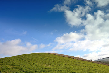 Naklejka premium campagne