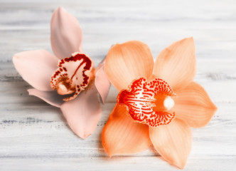 Beautiful orchid flowers on wooden background