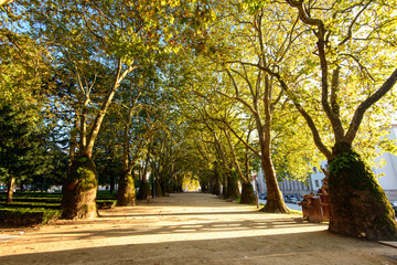 Walkway in summer city park