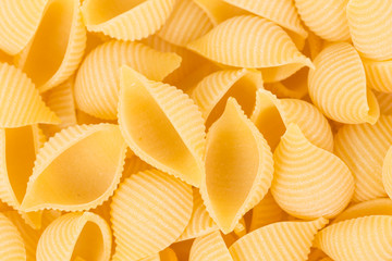 conchiglie pasta shell