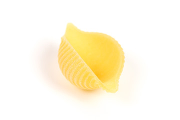 conchiglie pasta shell