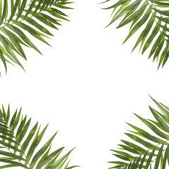 Fototapeta premium Beautiful palm leaves shaped as frame with space for your text