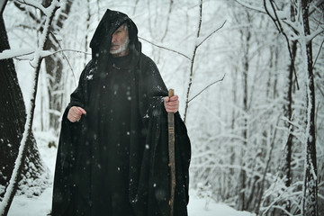 Old wizard in white forest