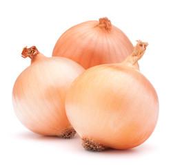 Gold onion vegetable bulbs
