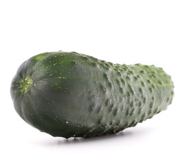 Cucumber vegetable  isolated on white background cutout