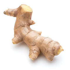 Fresh ginger root or rhizome isolated on white background cutout