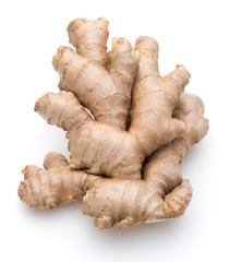Fresh ginger root or rhizome isolated on white background cutout