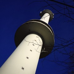Gänsehals