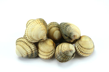 coques