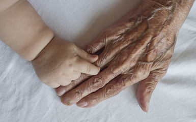 Fototapeta premium Grandparent and grand child