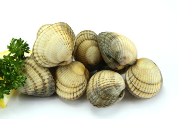 coques