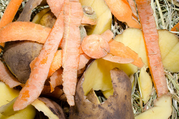 Biom&uuml;ll, K&uuml;chenabf&auml;lle