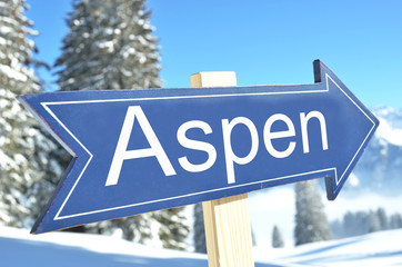 ASPEN arrow in the winter forest