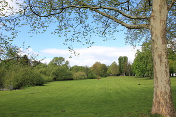 Paderauen in Paderborn