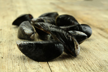 moules