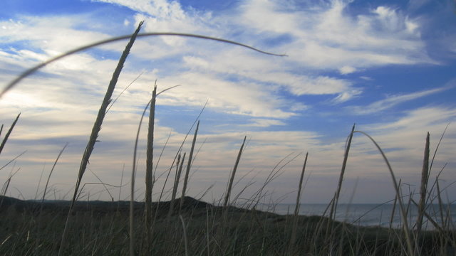 Cape Cod Beach 1