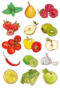 Vector set of fresh vegetables, fruits and berries