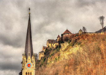 Cathedral of St. Florin and Vaduz Castle - Liechtenstein