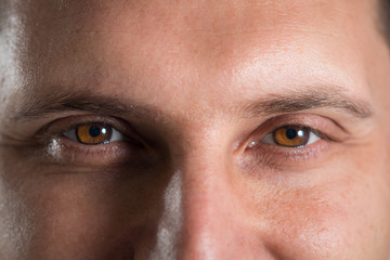 Naklejka premium Truce eyes