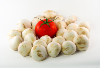 Tomato in mushrooms.