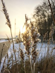Obraz premium Sonnenuntergang in Kellenhusen