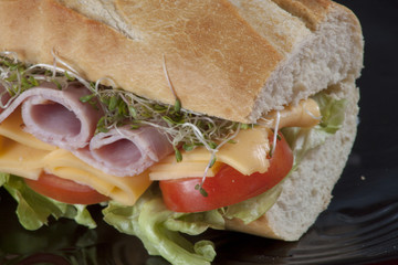 Sub Sandwich