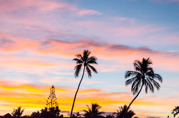 Fototapeta na wymiar Tropical Sunset in Moorea, French Polynesia