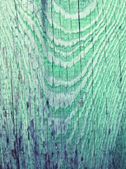 Grunge wood texture