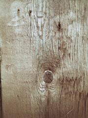 Grunge wood texture