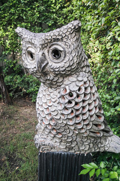 An owl in the garden