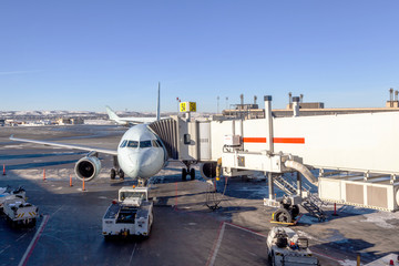 Fototapeta na wymiar Airplane Being Serviced at Airport Gate