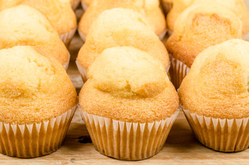 Rows of muffins