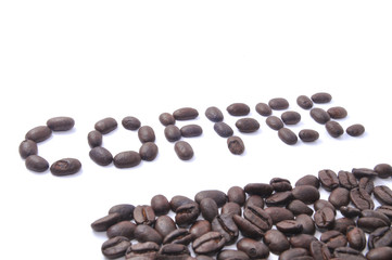 Coffee bean on white background