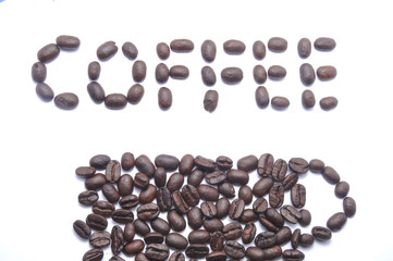 Coffee bean on white background